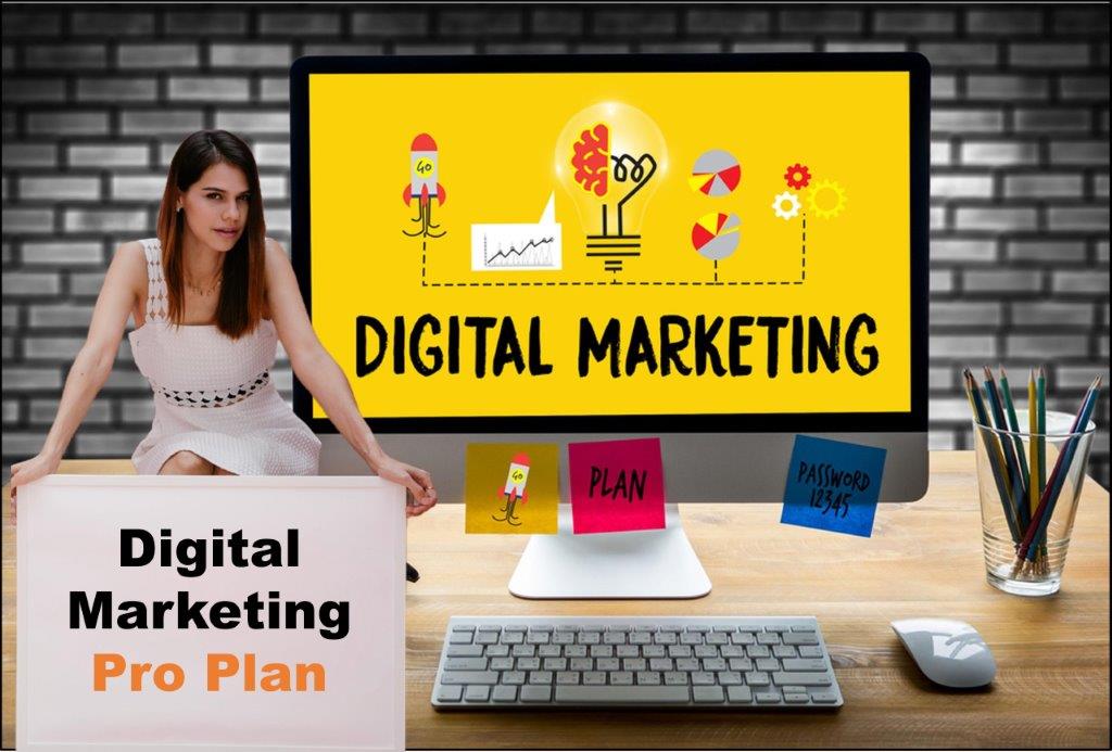 digital marketing service provider in Delhi