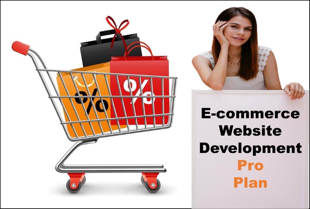 professional ecommerce website development agency in Delhi