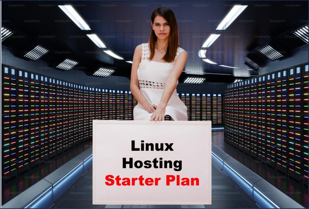 Website Hosting in Delhi