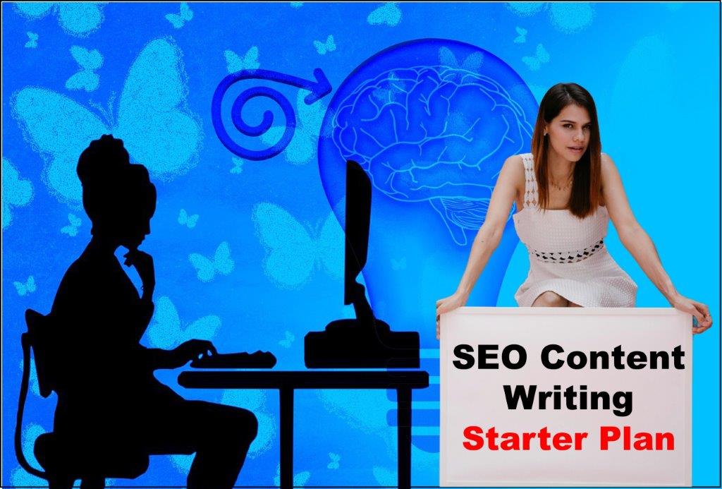 seo content writing service provider in Delhi