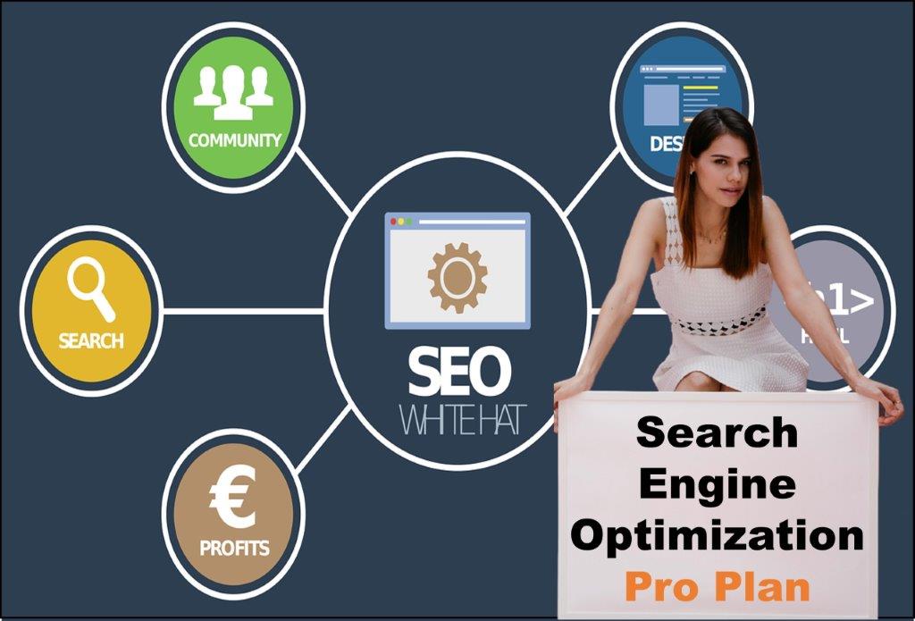 seo company Delhi