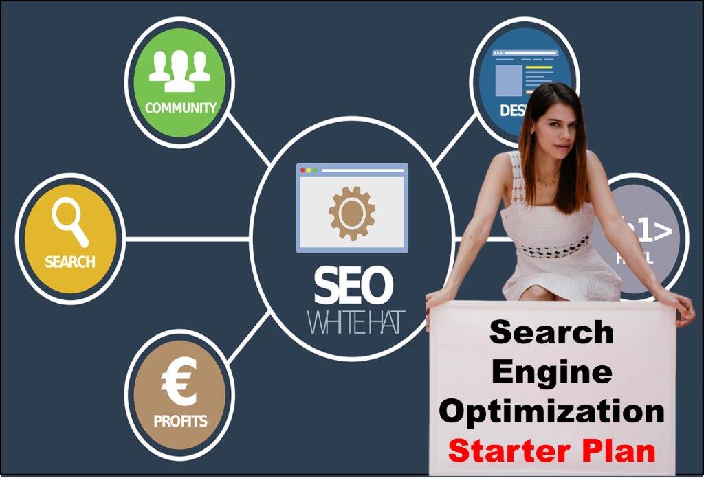 seo service provider in Delhi