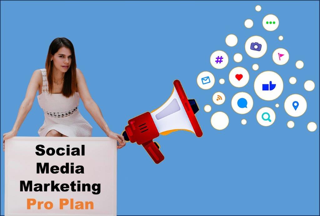 social media marketing company in Delhi