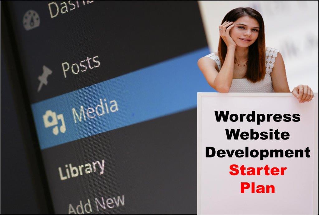 Wordpress Website Development in Delhi